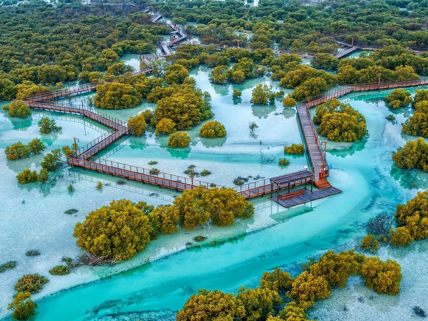 Mangrove National Park