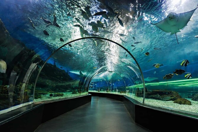 Dubai Aquarium & Underwater Zoo